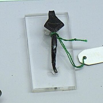 Site archéologique de hauteur fortifié du Camp dAffrique