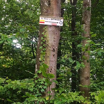 Site archéologique de hauteur fortifié du Camp dAffrique