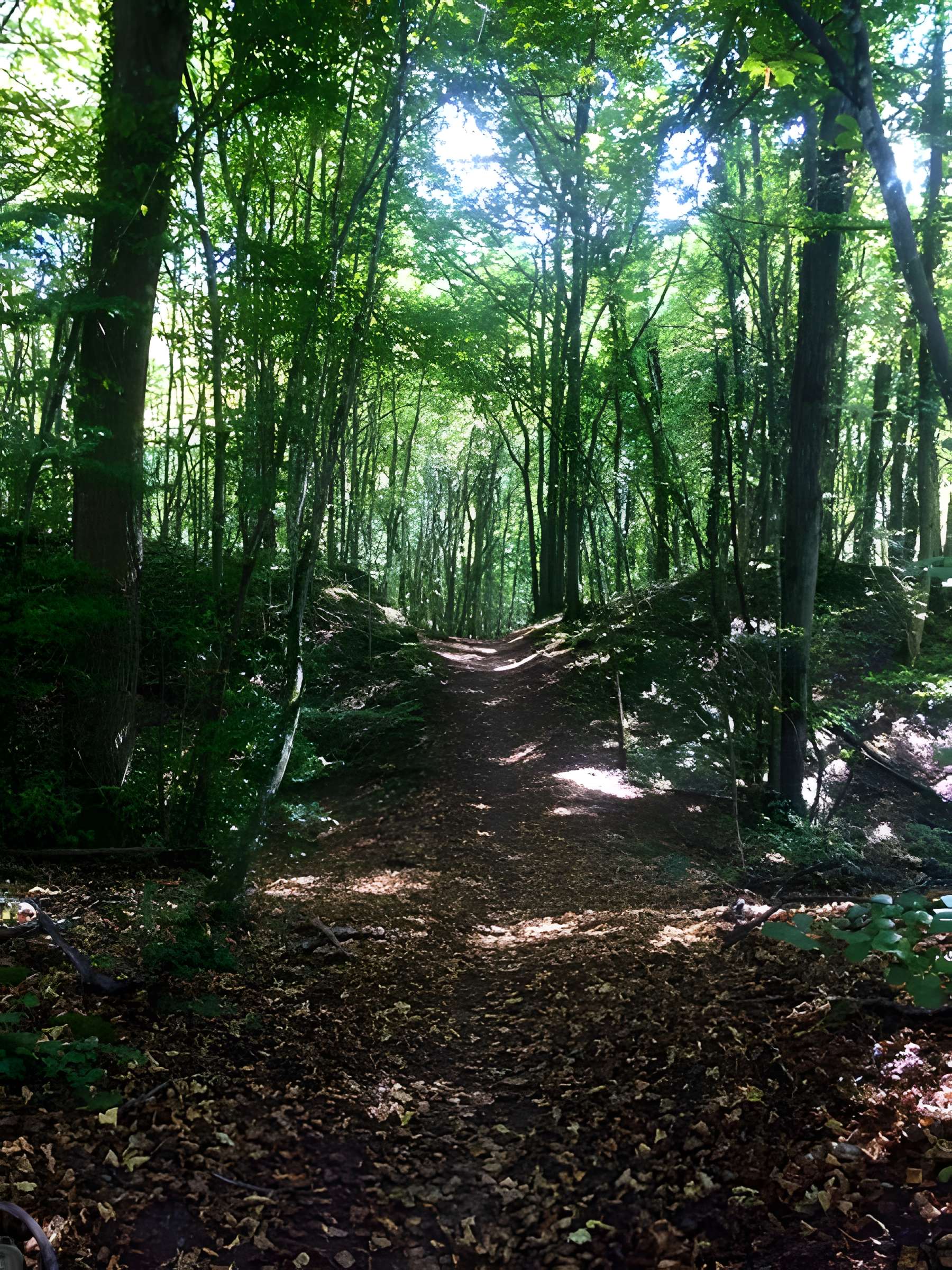 Site archéologique de hauteur fortifié du Camp d'Affrique