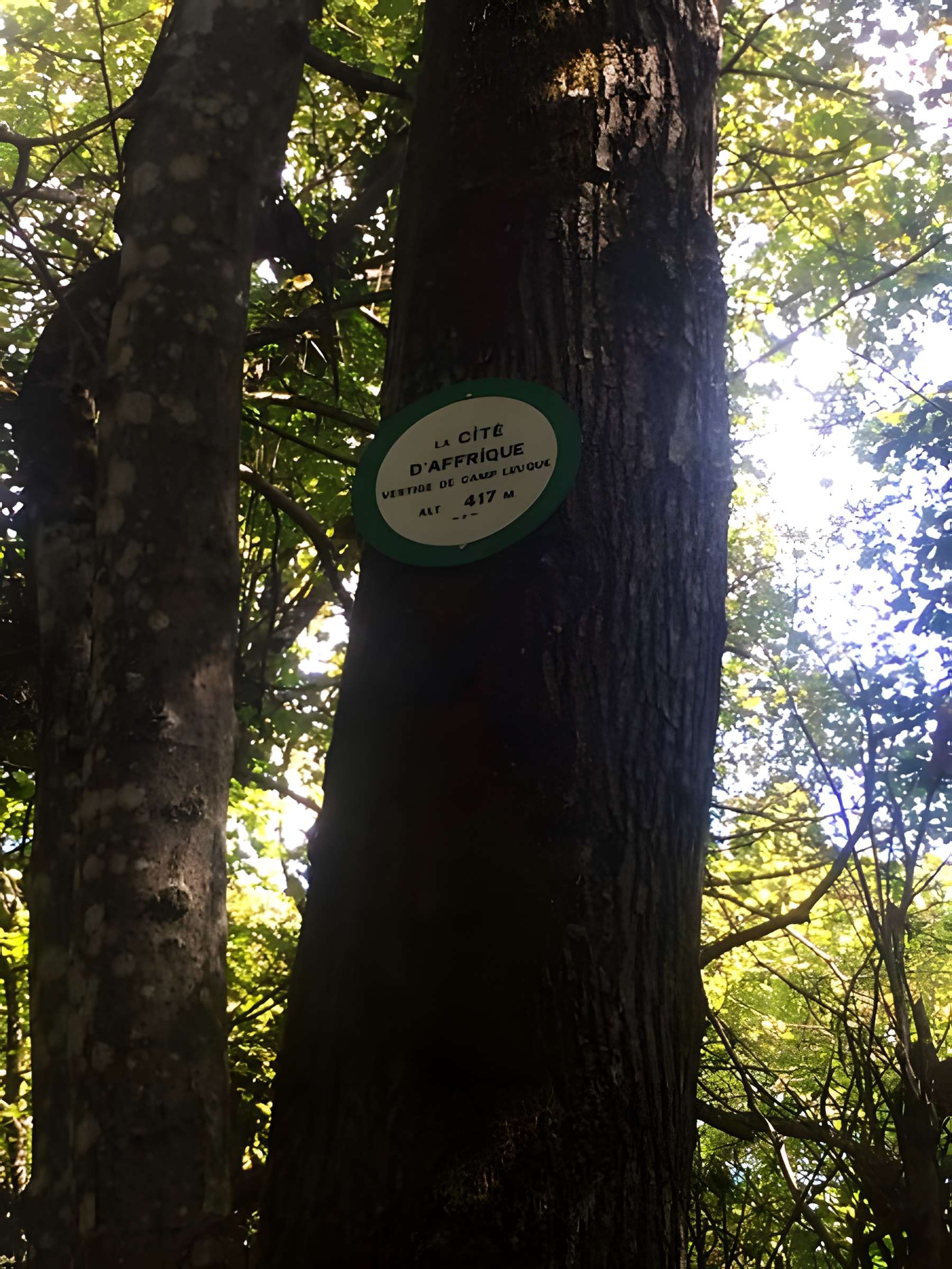 Site archéologique de hauteur fortifié du Camp d'Affrique
