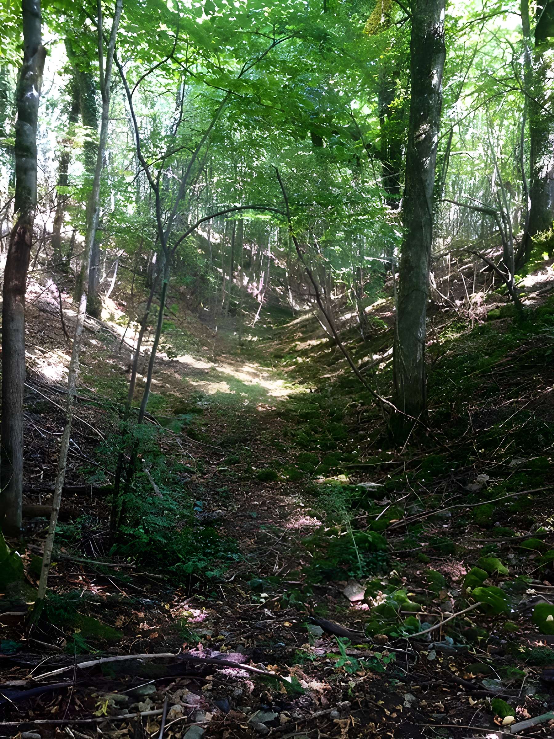 Site archéologique de hauteur fortifié du Camp d'Affrique