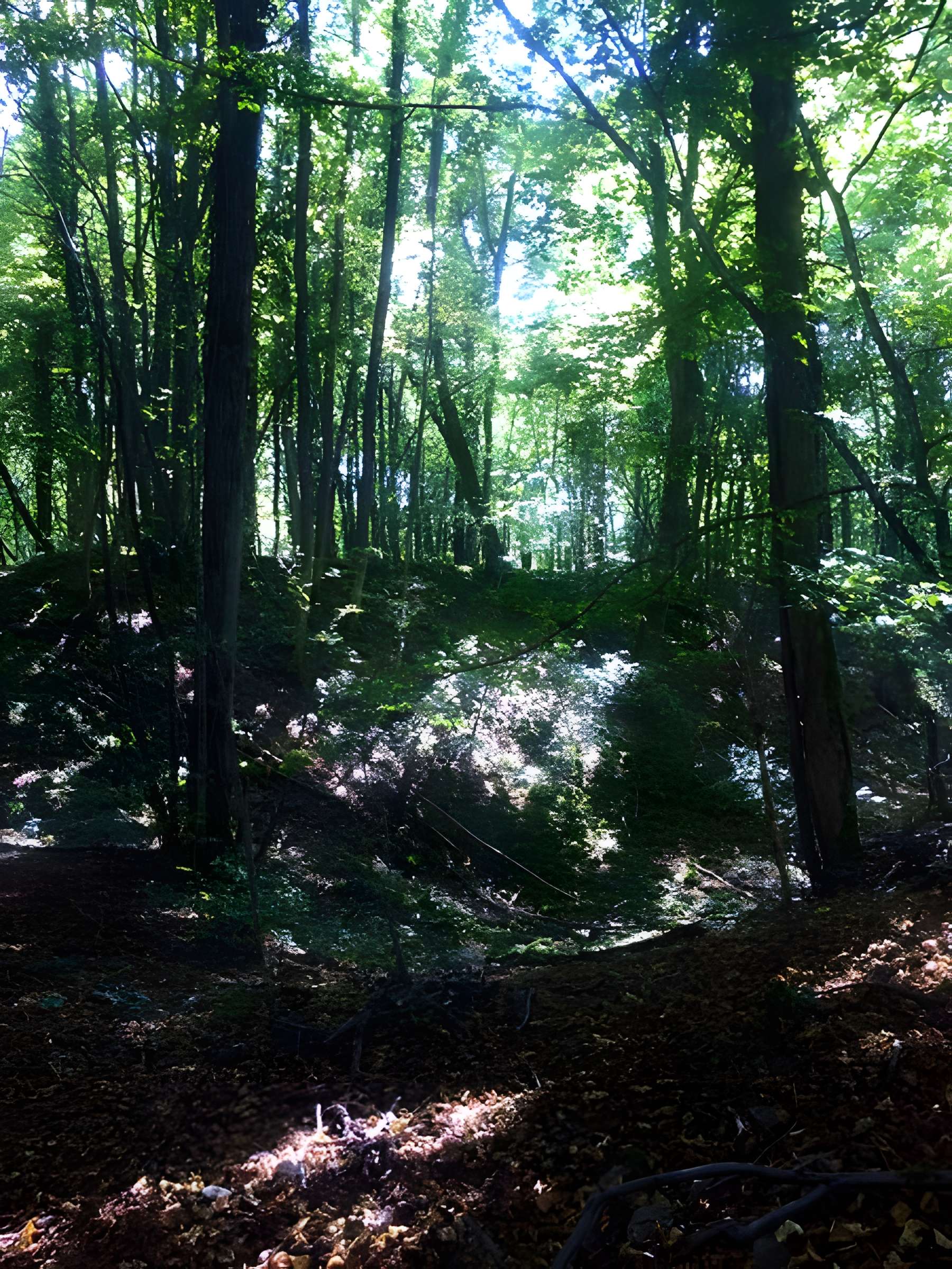 Site archéologique de hauteur fortifié du Camp d'Affrique