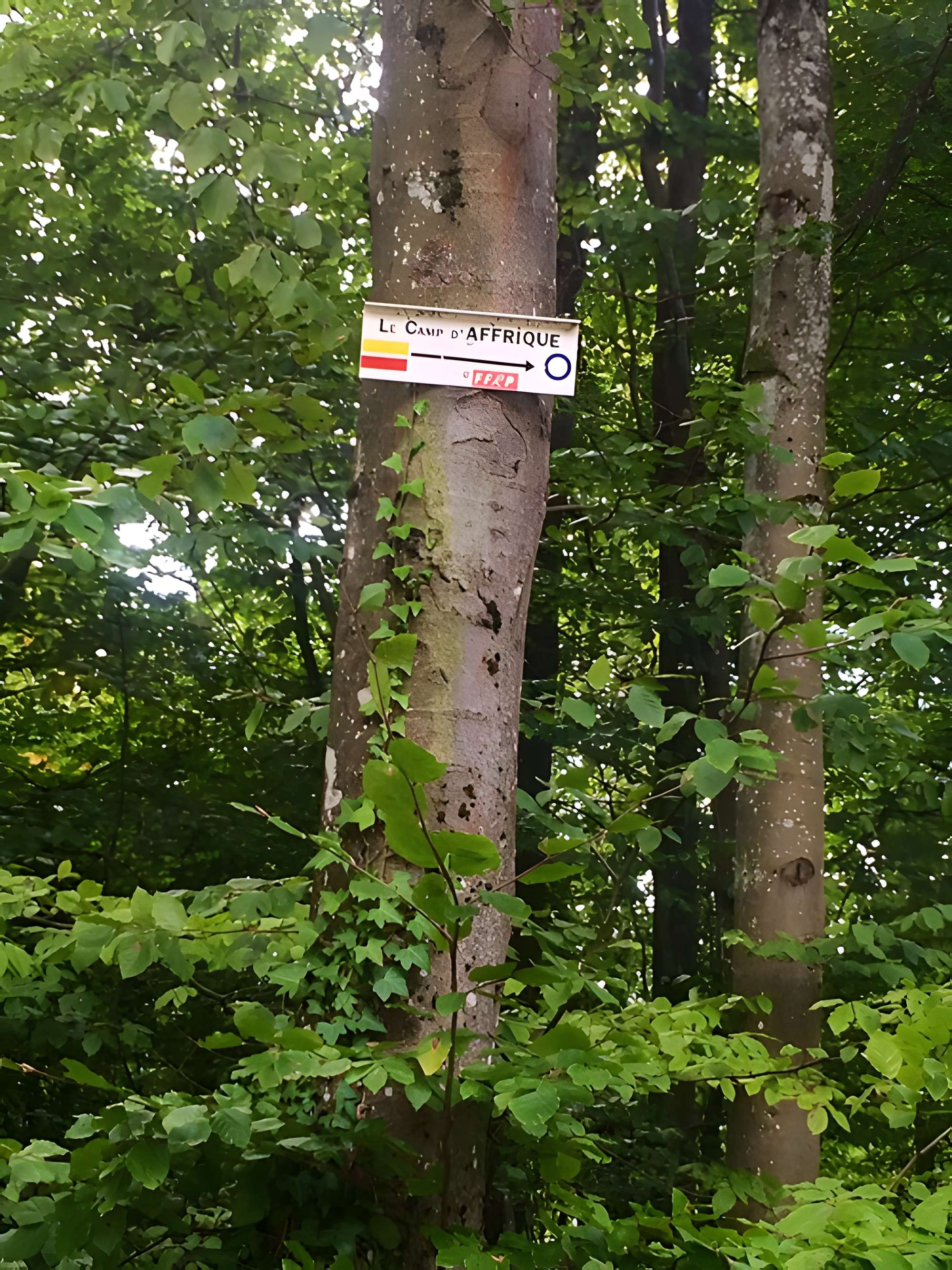 Site archéologique de hauteur fortifié du Camp d'Affrique