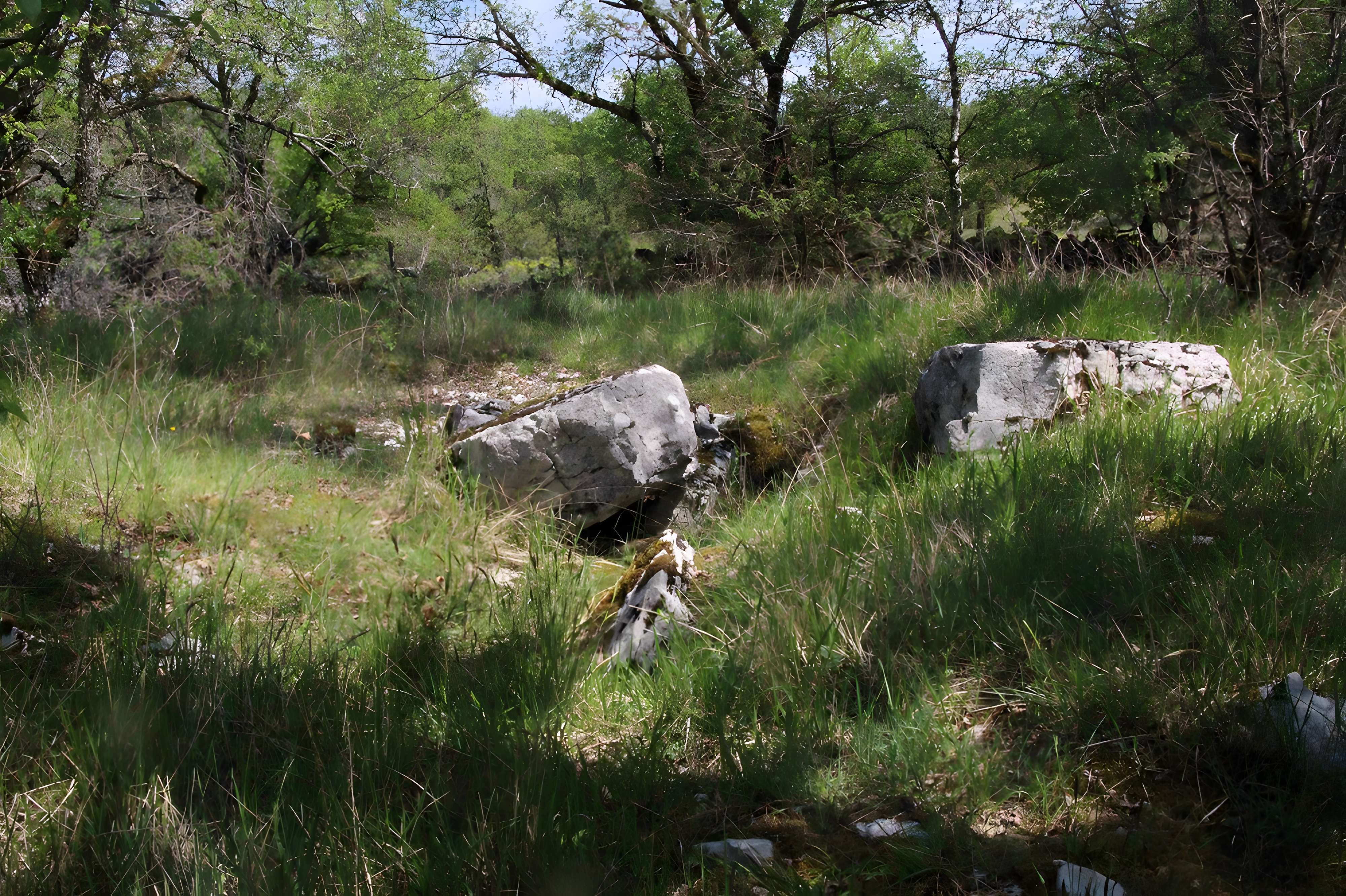 Site archéologique du dolmen de Peyre de l'Homme à Durbans exterieur