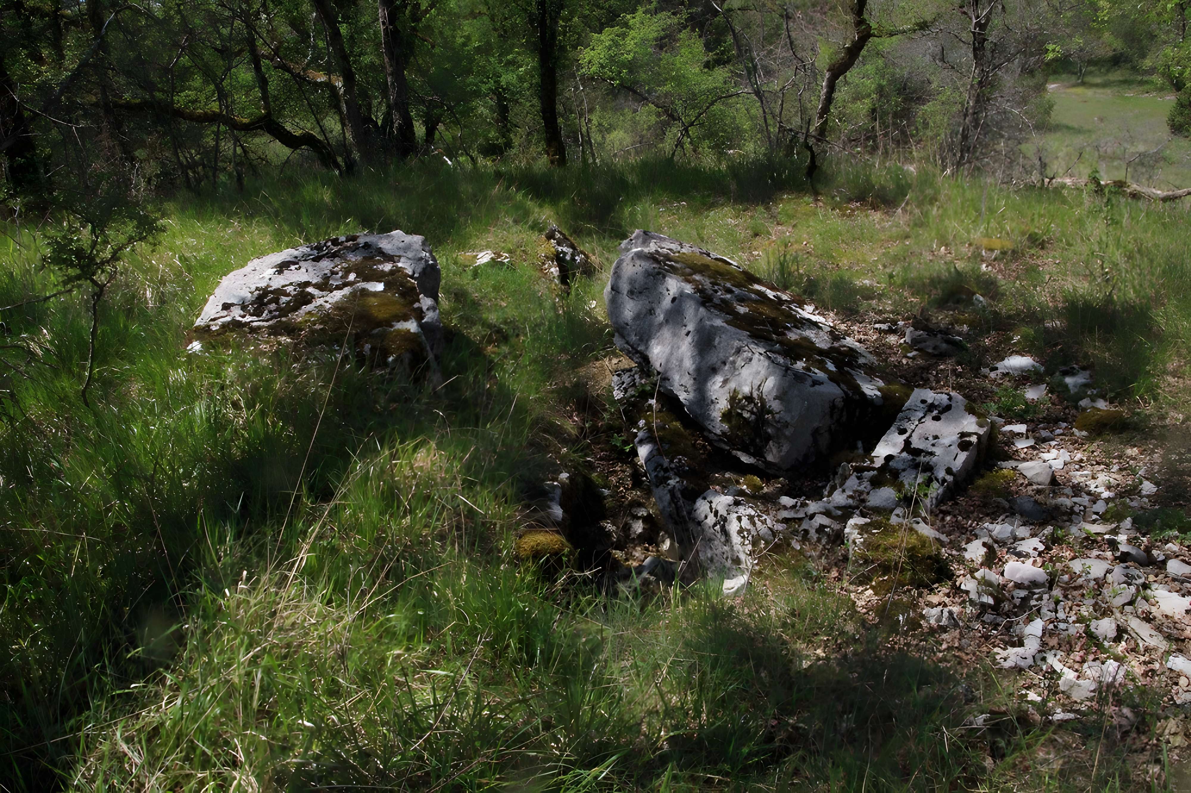 Site archéologique du dolmen de Peyre de l'Homme à Durbans tête du couloir 1