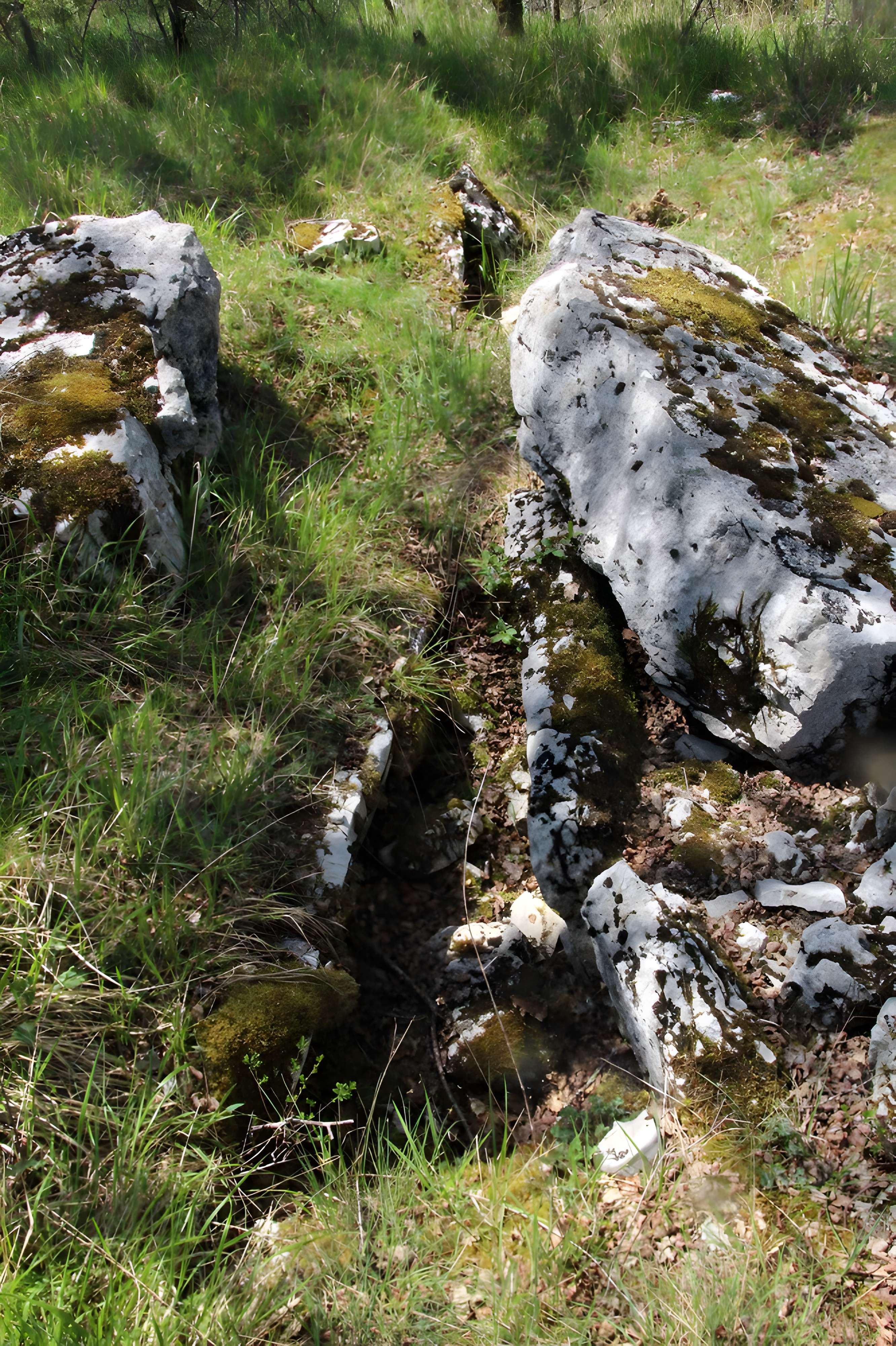 Site archéologique du dolmen de Peyre de l'Homme à Durbans tête du couloir 2