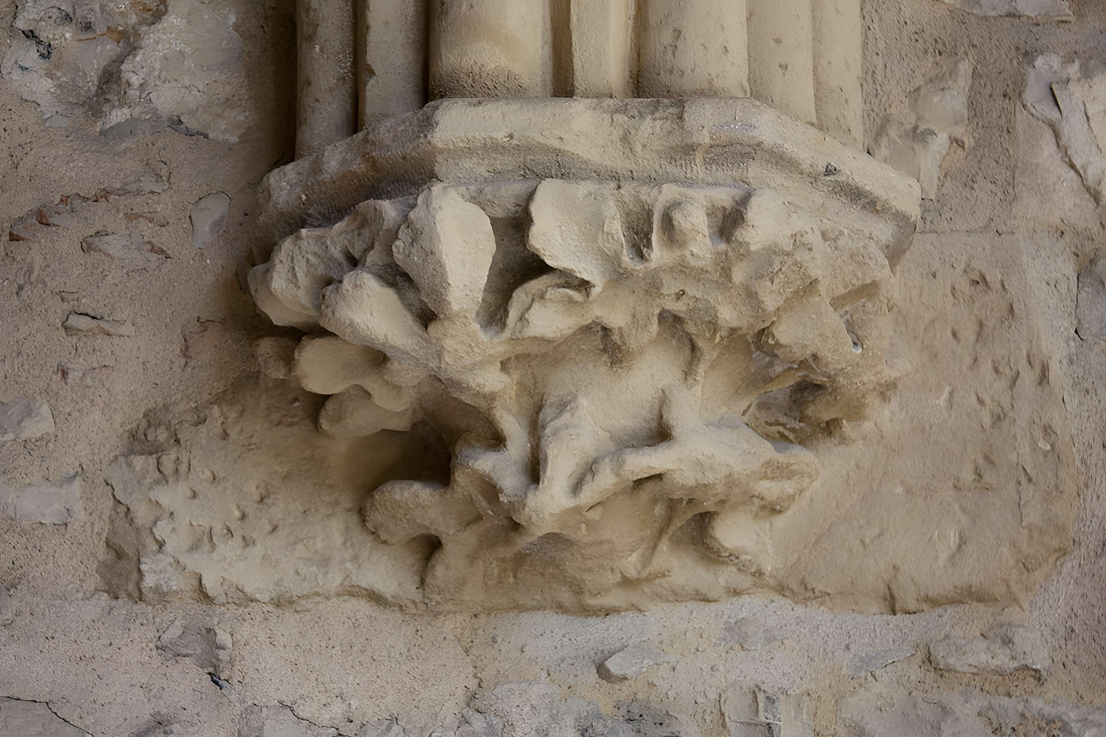 Cathédrale Sainte-Marie de Bayonne