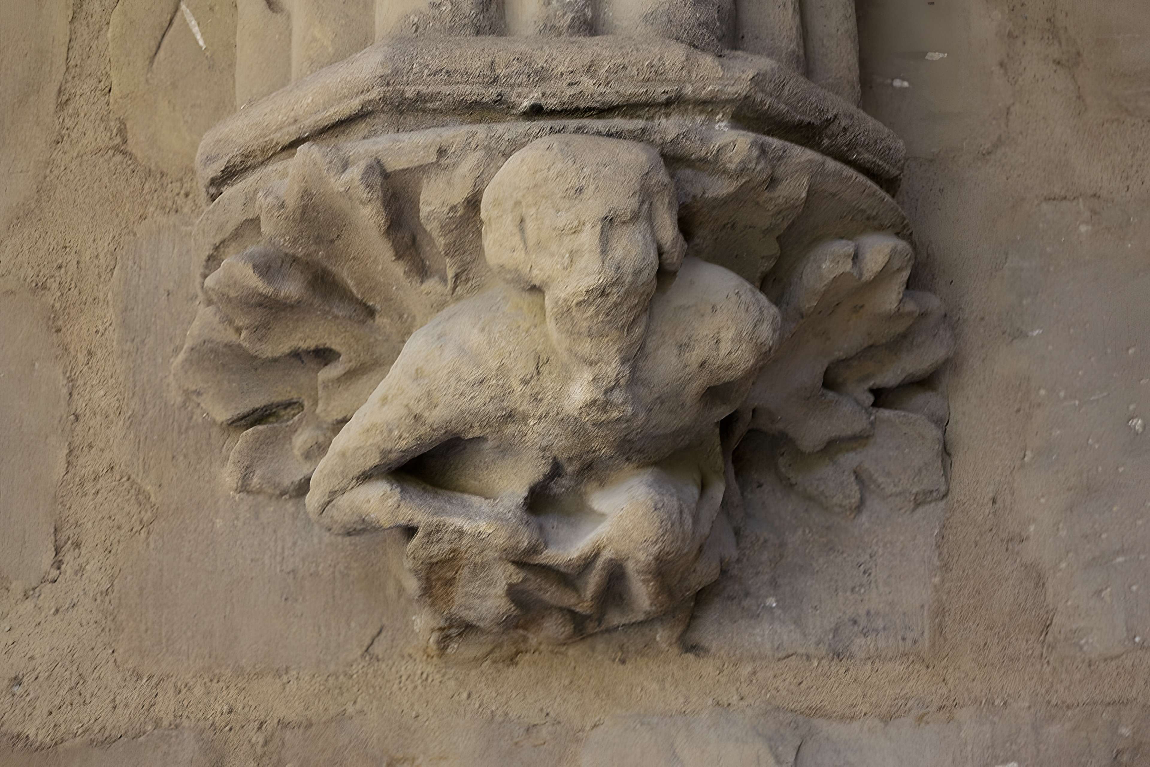 Cathédrale Sainte-Marie de Bayonne