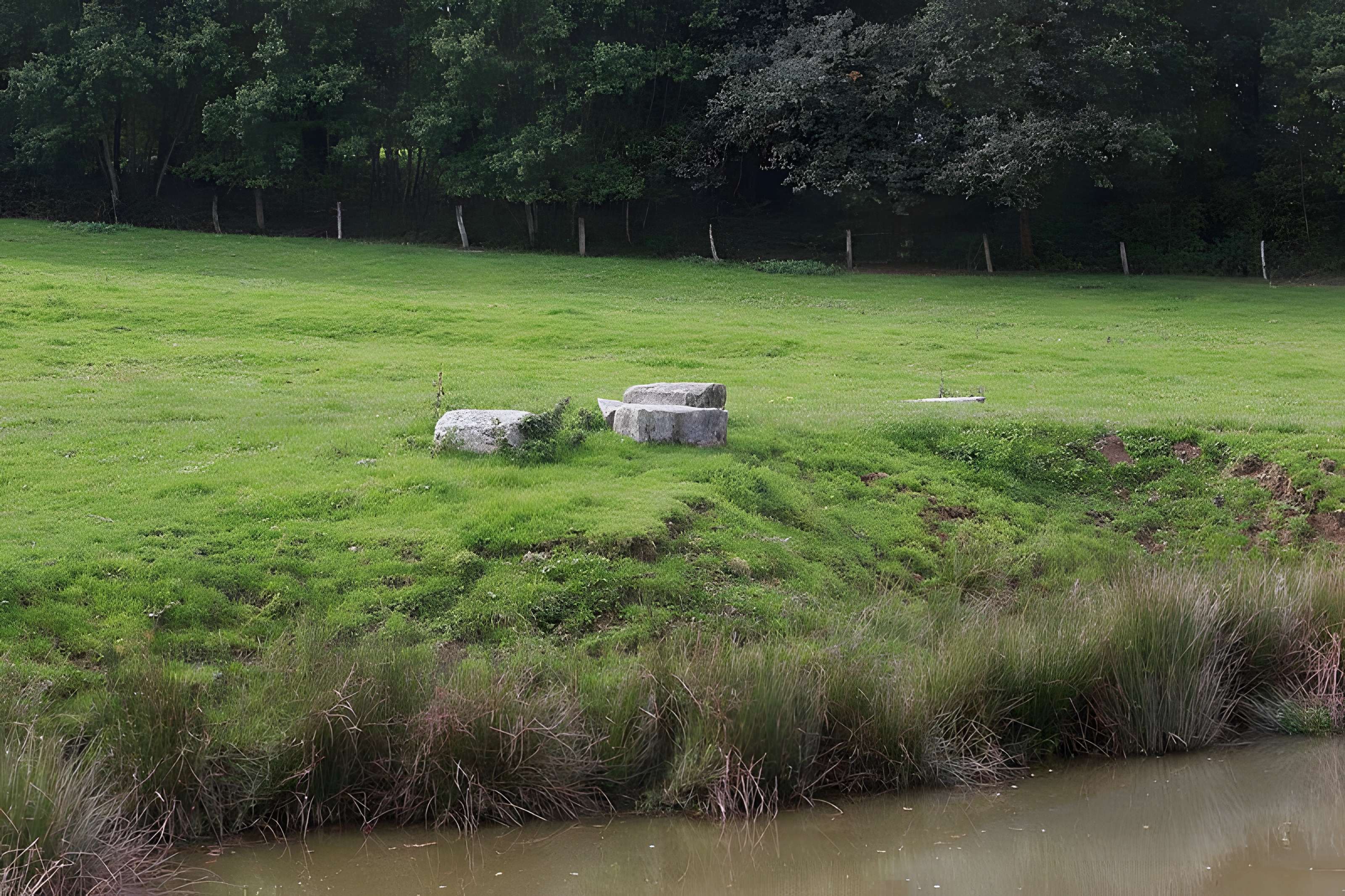 Site archéologique du Premier Silorit à Deneuvre 