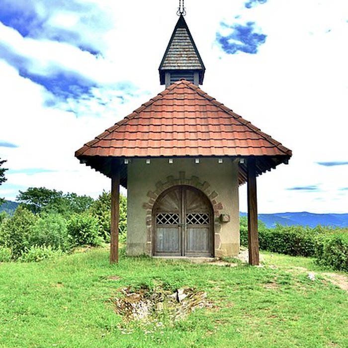 Photo de Site archéologique du Saint-Mont également sur commune de Saint-Etienne-lès-Remiremont