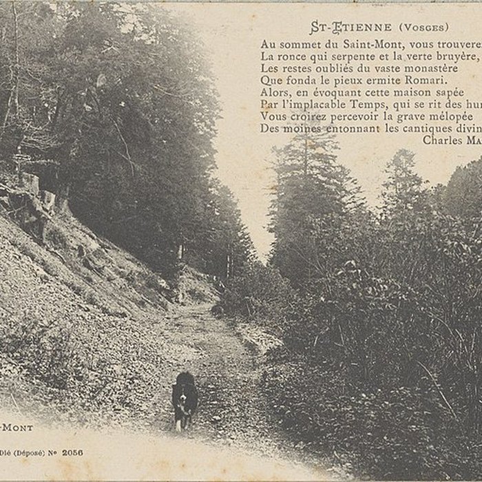 Photo de Site archéologique du Saint-Mont également sur commune de Saint-Etienne-lès-Remiremont