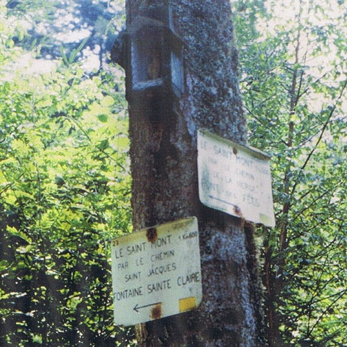 Photo de Site archéologique du Saint-Mont également sur commune de Saint-Etienne-lès-Remiremont