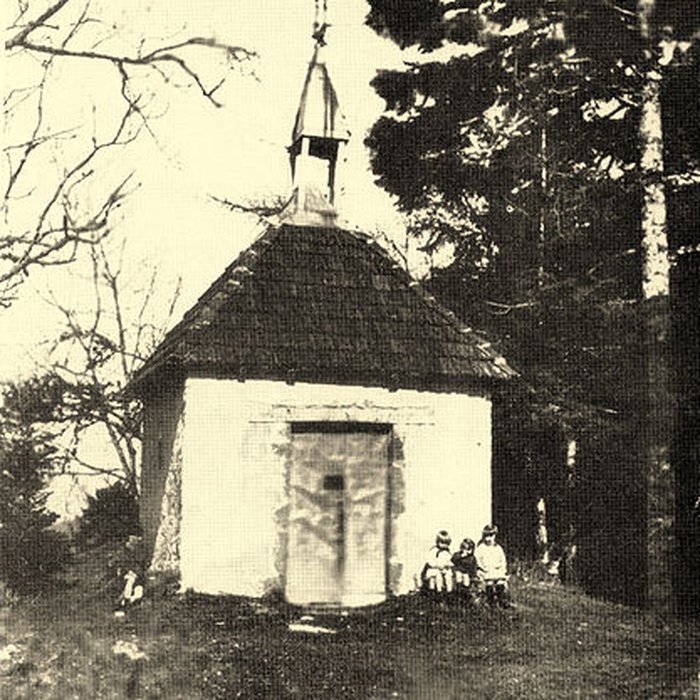 Photo de Site archéologique du Saint-Mont également sur commune de Saint-Etienne-lès-Remiremont