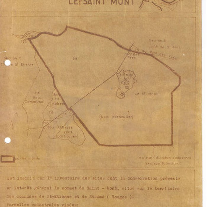 Photo de Site archéologique du Saint-Mont également sur commune de Saint-Etienne-lès-Remiremont