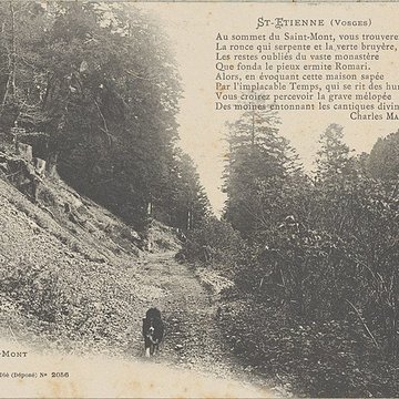 Site archéologique du Saint-Mont de Saint-Étienne-lès-Remiremont