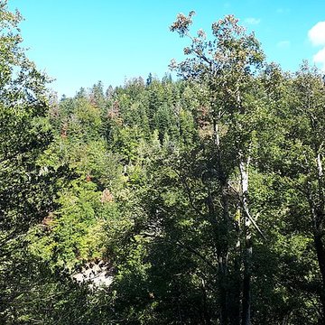 Site archéologique du Saint-Mont de Saint-Étienne-lès-Remiremont
