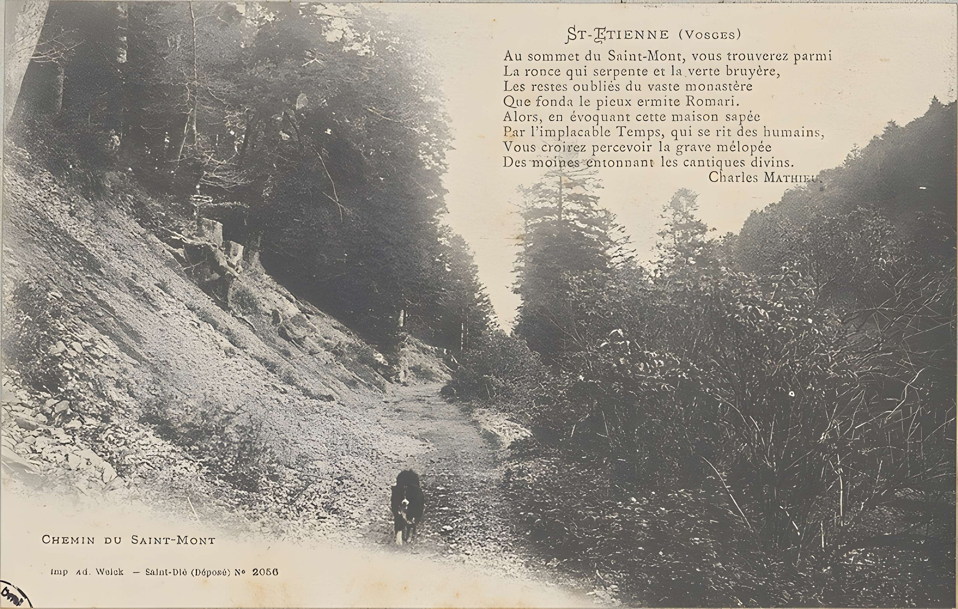 Site archéologique du Saint-Mont de Saint-Étienne-lès-Remiremont