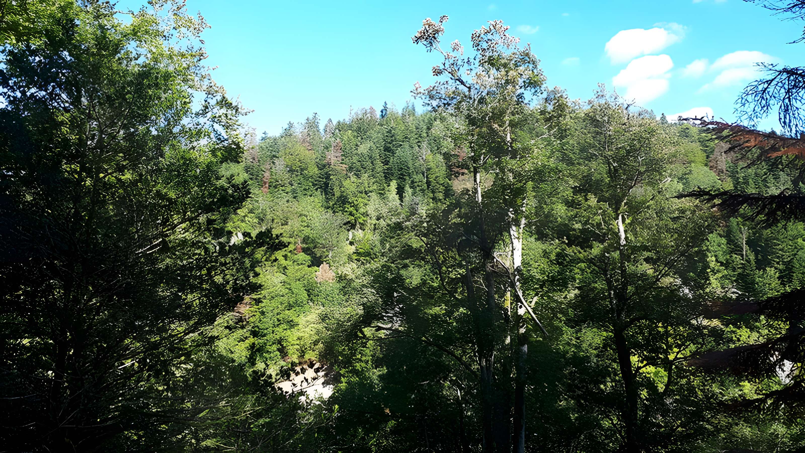 Site archéologique du Saint-Mont de Saint-Étienne-lès-Remiremont