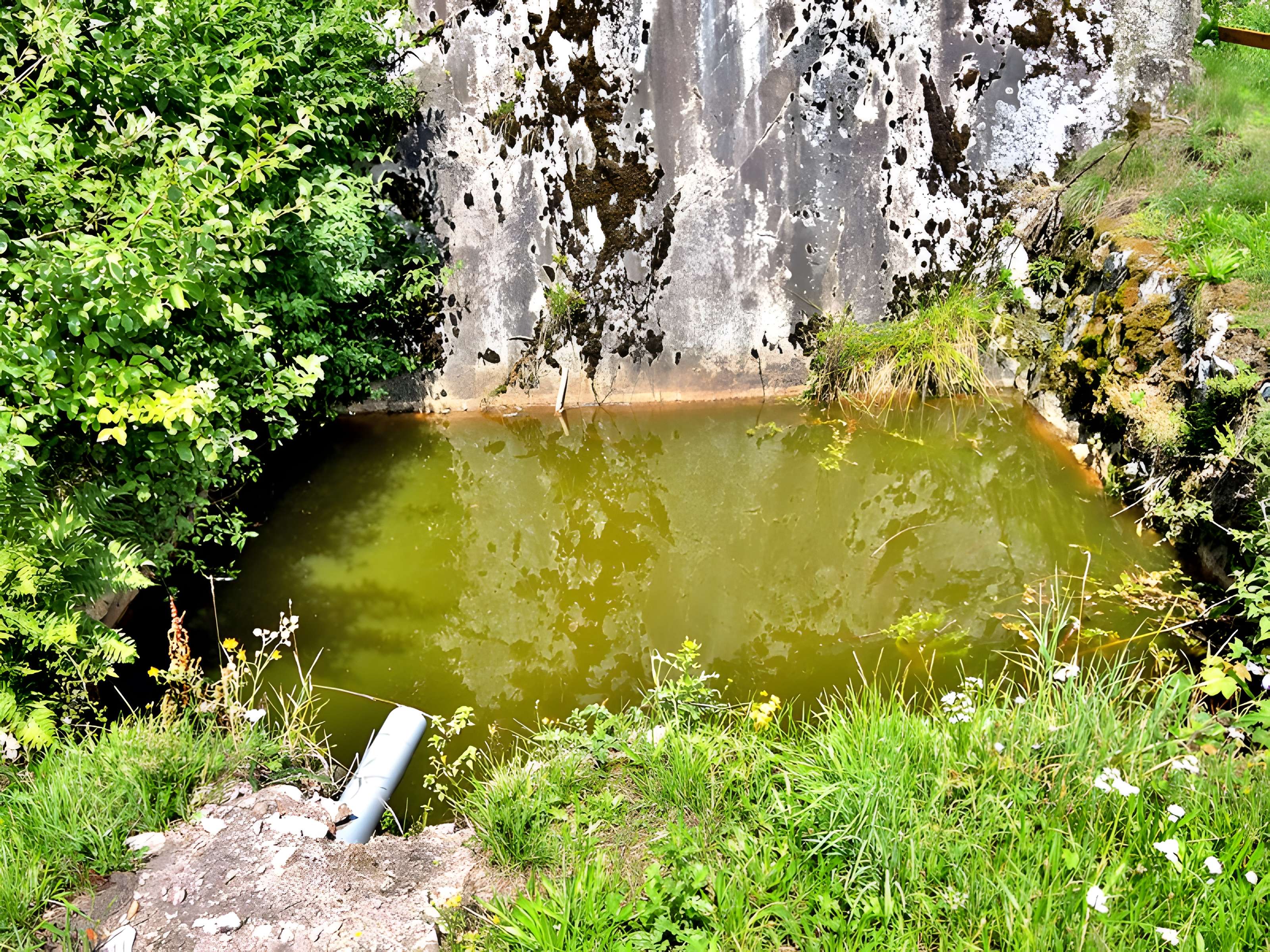 Site archéologique du Saint-Mont de Saint-Étienne-lès-Remiremont