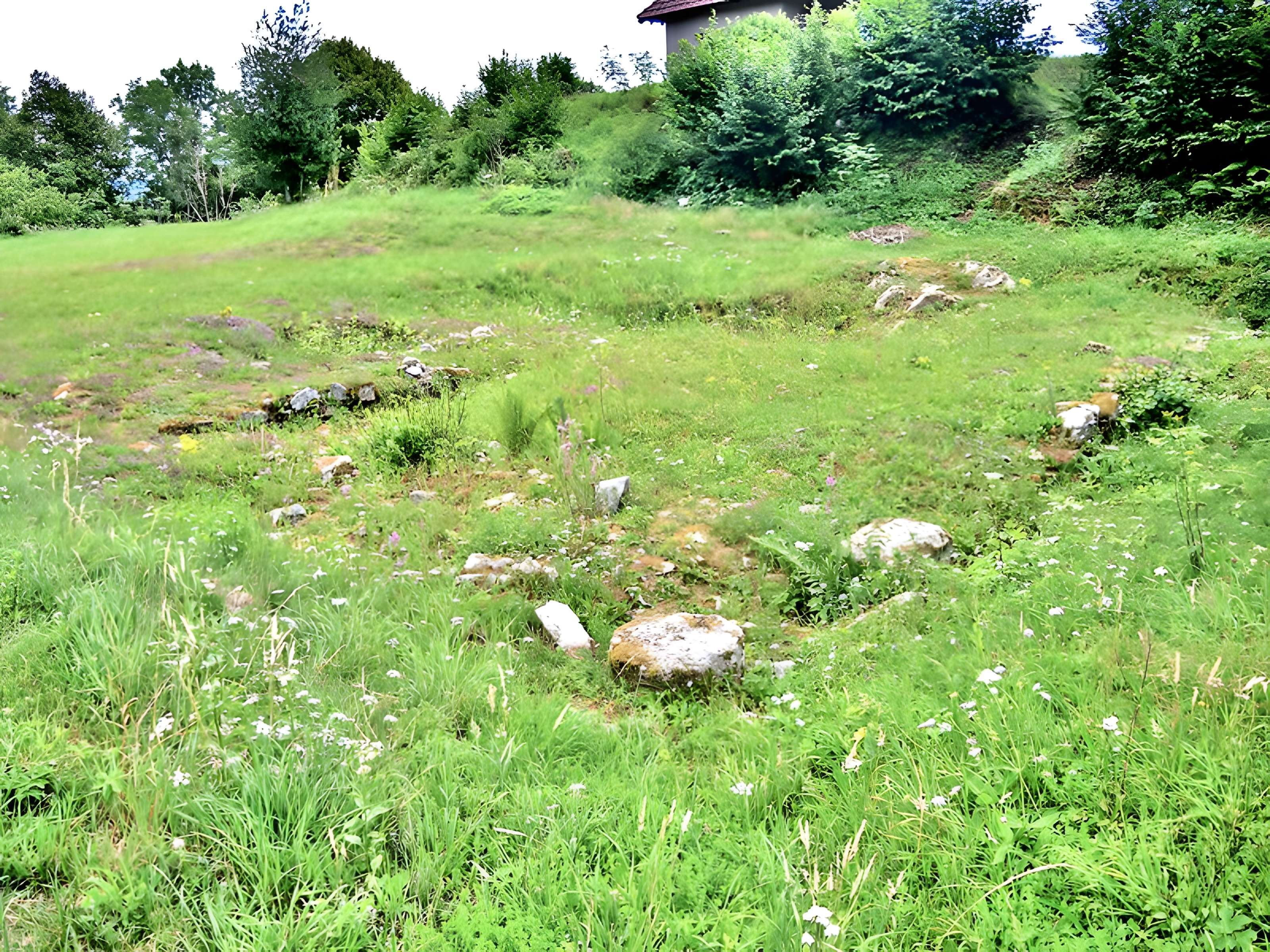 Site archéologique du Saint-Mont de Saint-Étienne-lès-Remiremont