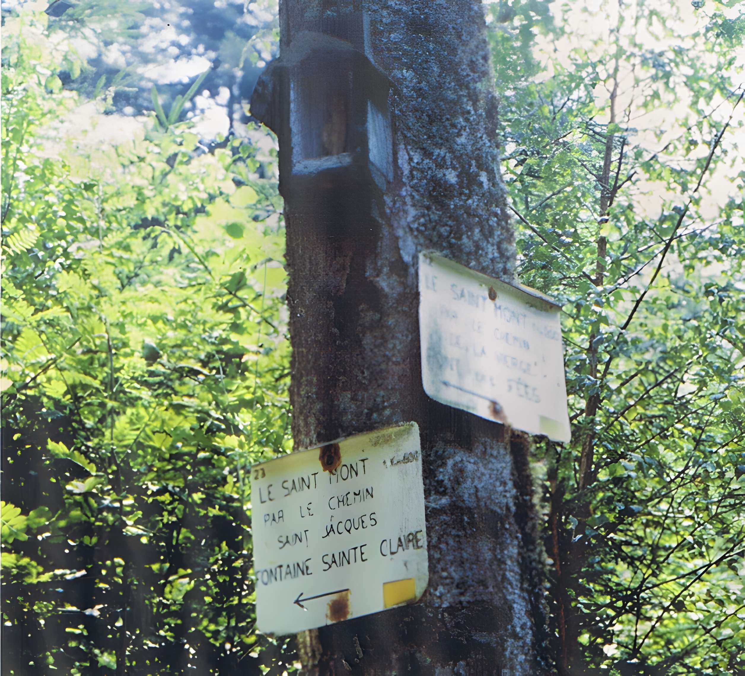 Site archéologique du Saint-Mont de Saint-Étienne-lès-Remiremont