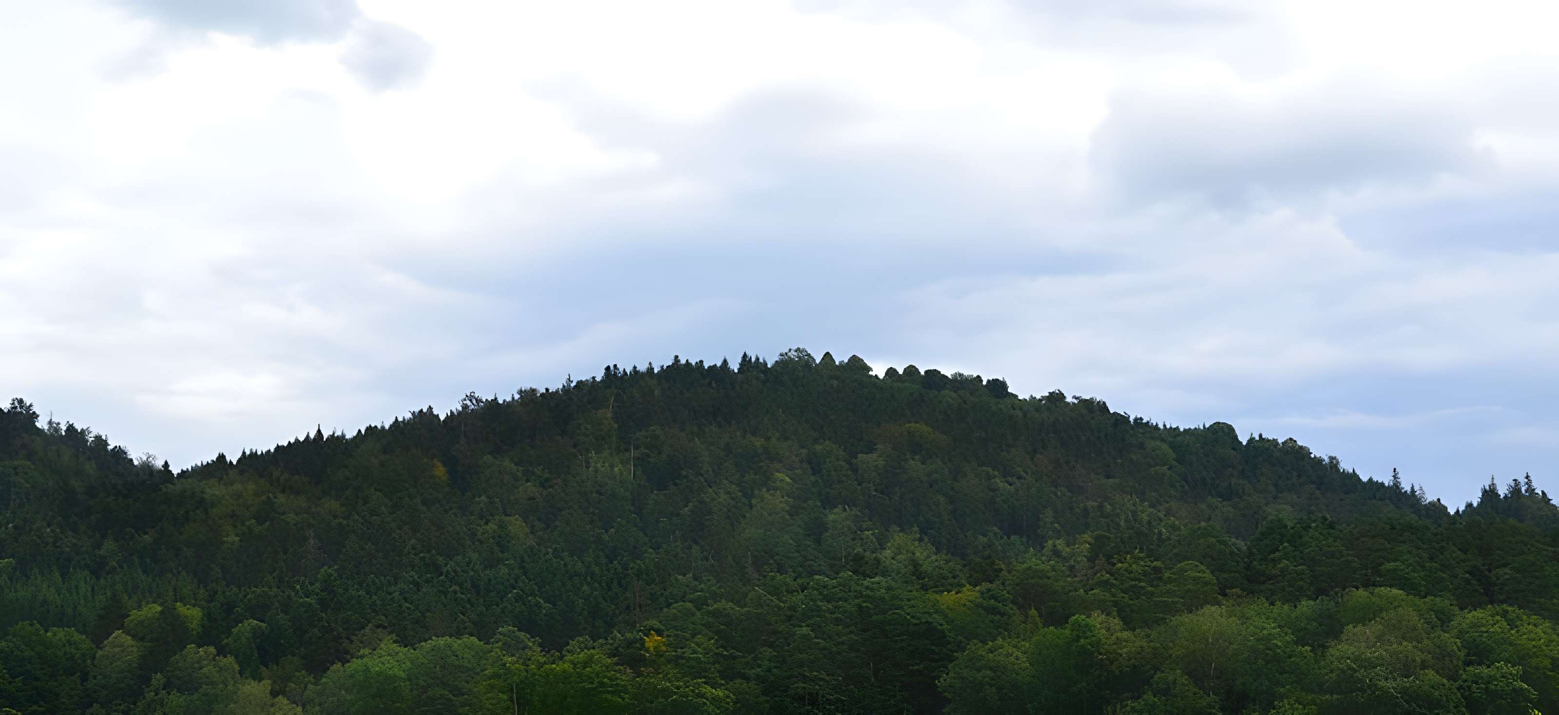 Site archéologique du Saint-Mont de Saint-Étienne-lès-Remiremont