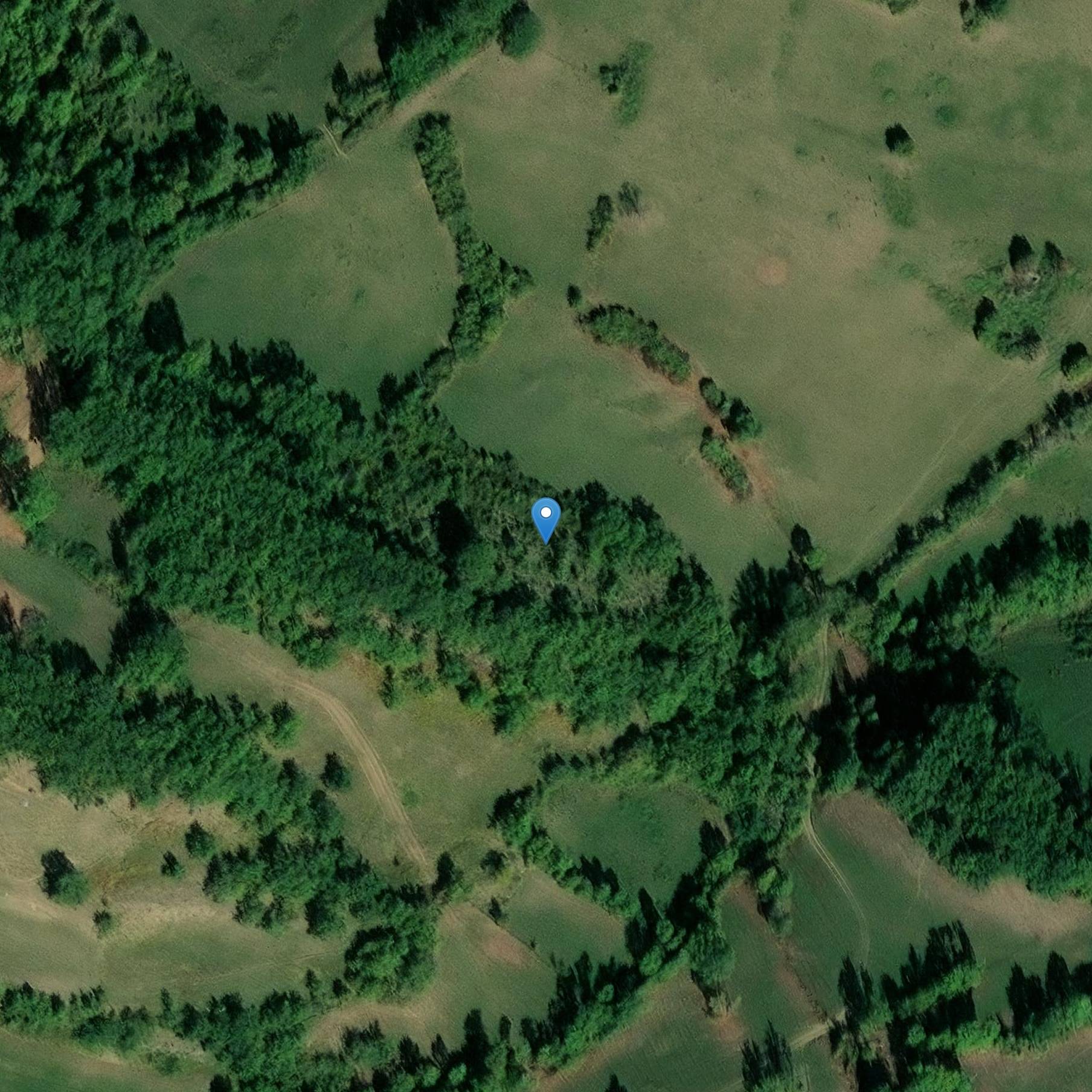 Photo de Sito des Salenques des Bordes-sur-Arize