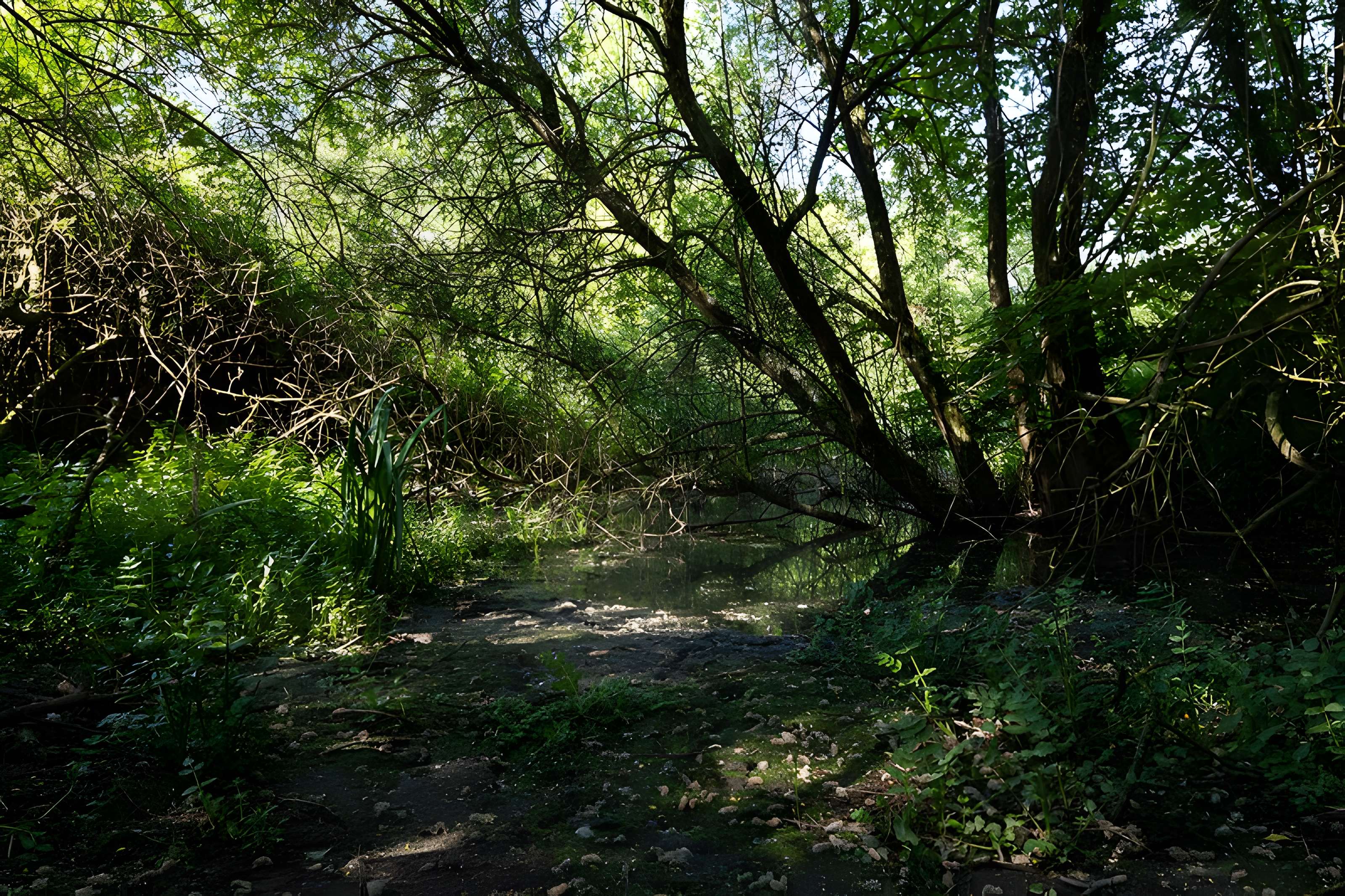 Site gallo-romain de l'Asile des Pêcheurs à Taden 