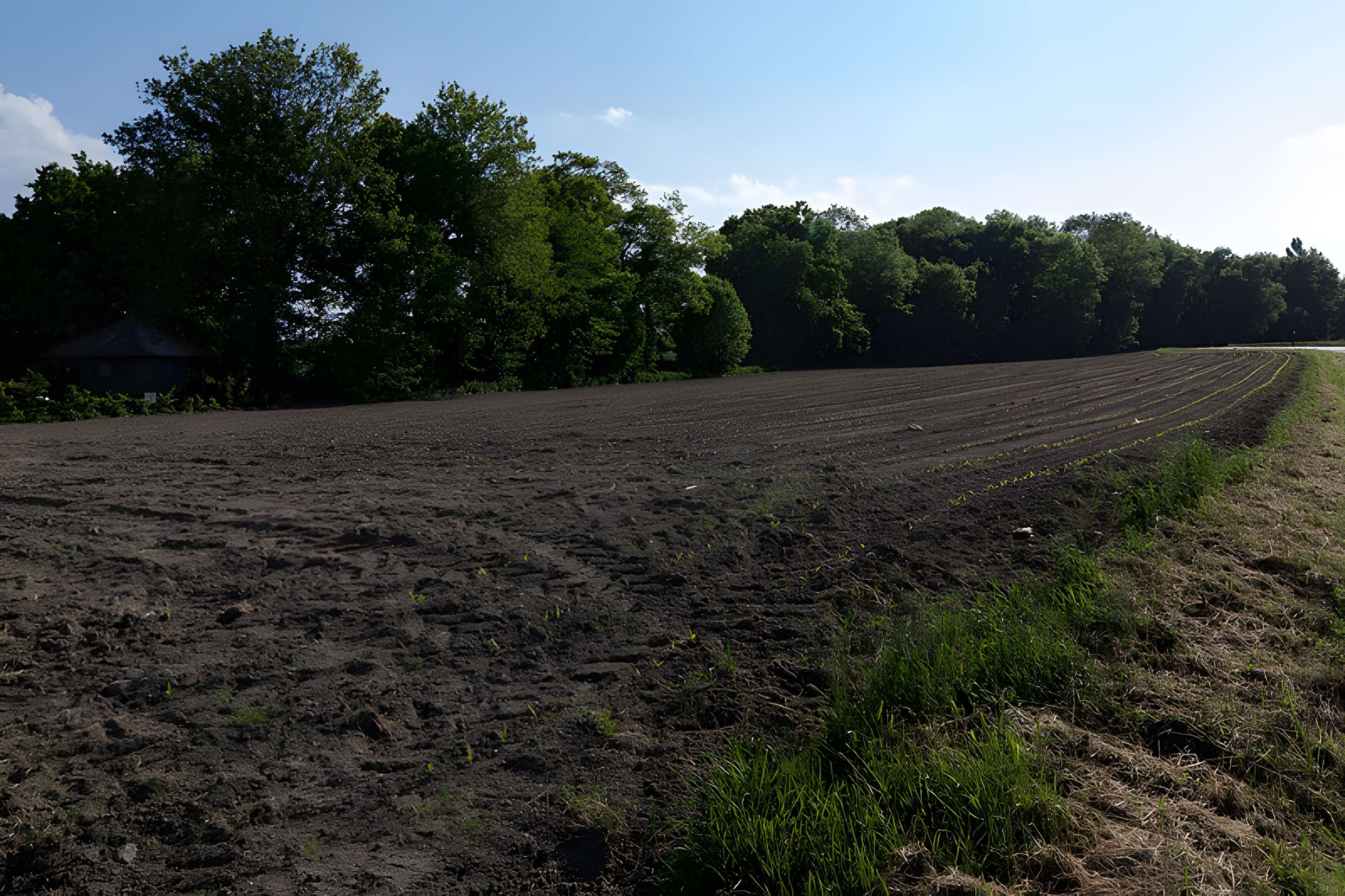 Site gallo-romain des Boissières à Taden 
