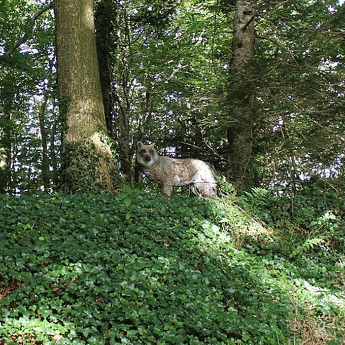 Photo de Château de Kergroadès