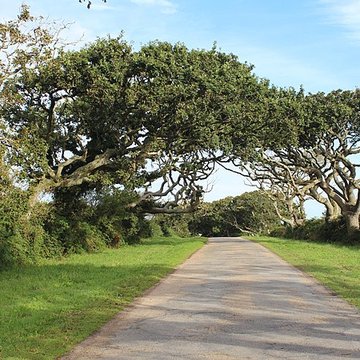 Château de Kergroadès