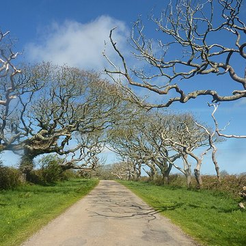 Château de Kergroadès