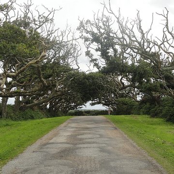 Château de Kergroadès