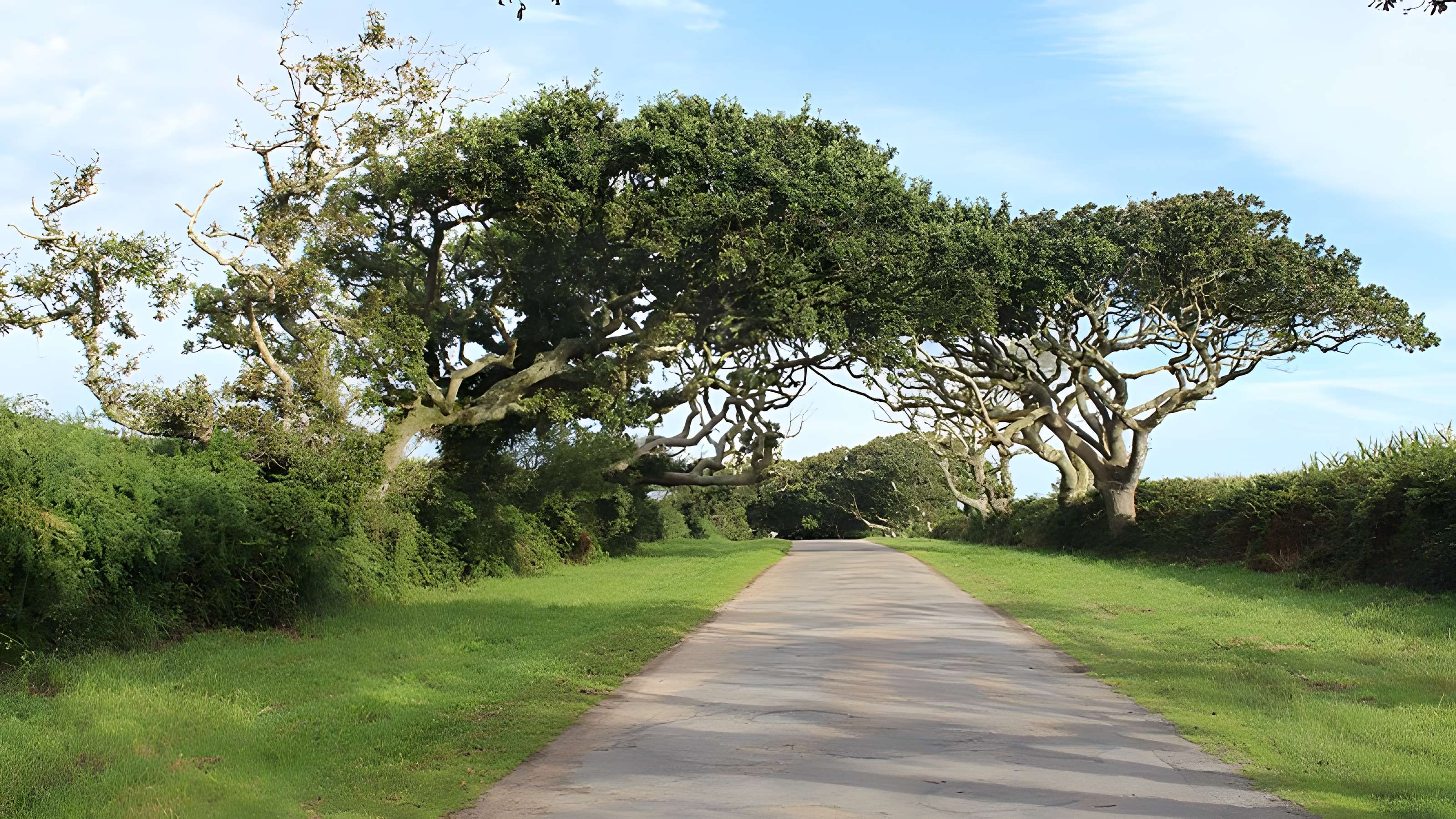 Château de Kergroadès