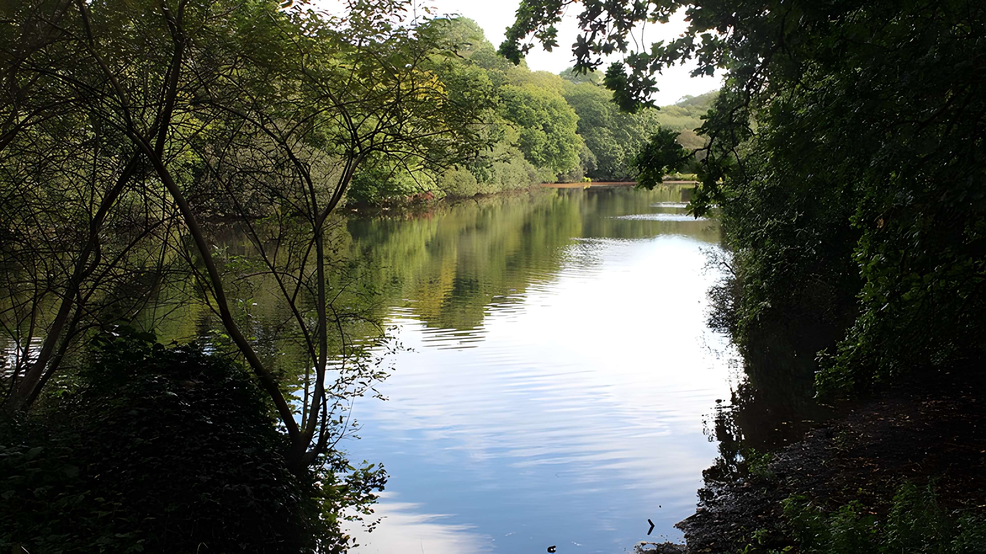 Château de Kergroadès