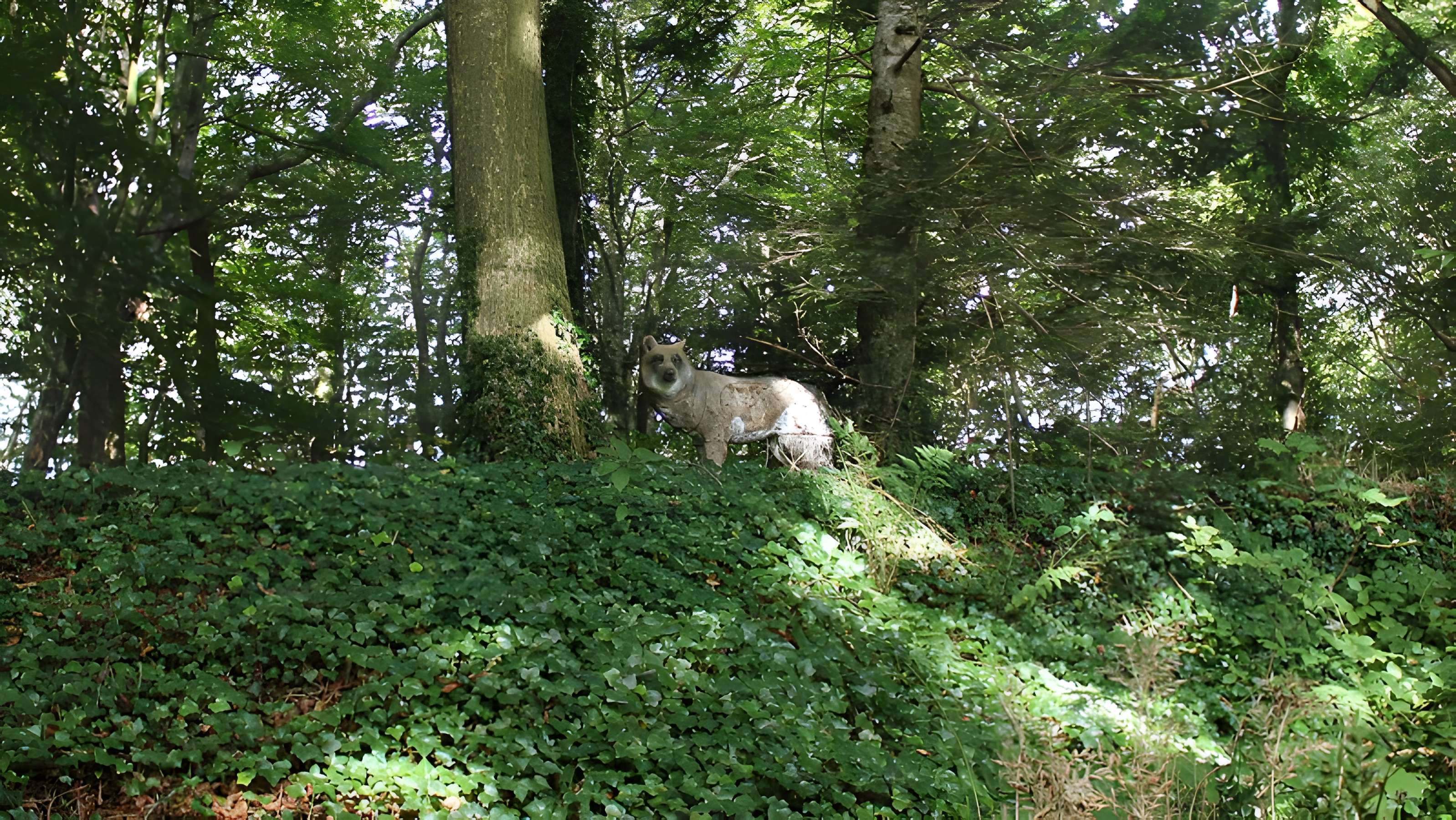 Château de Kergroadès