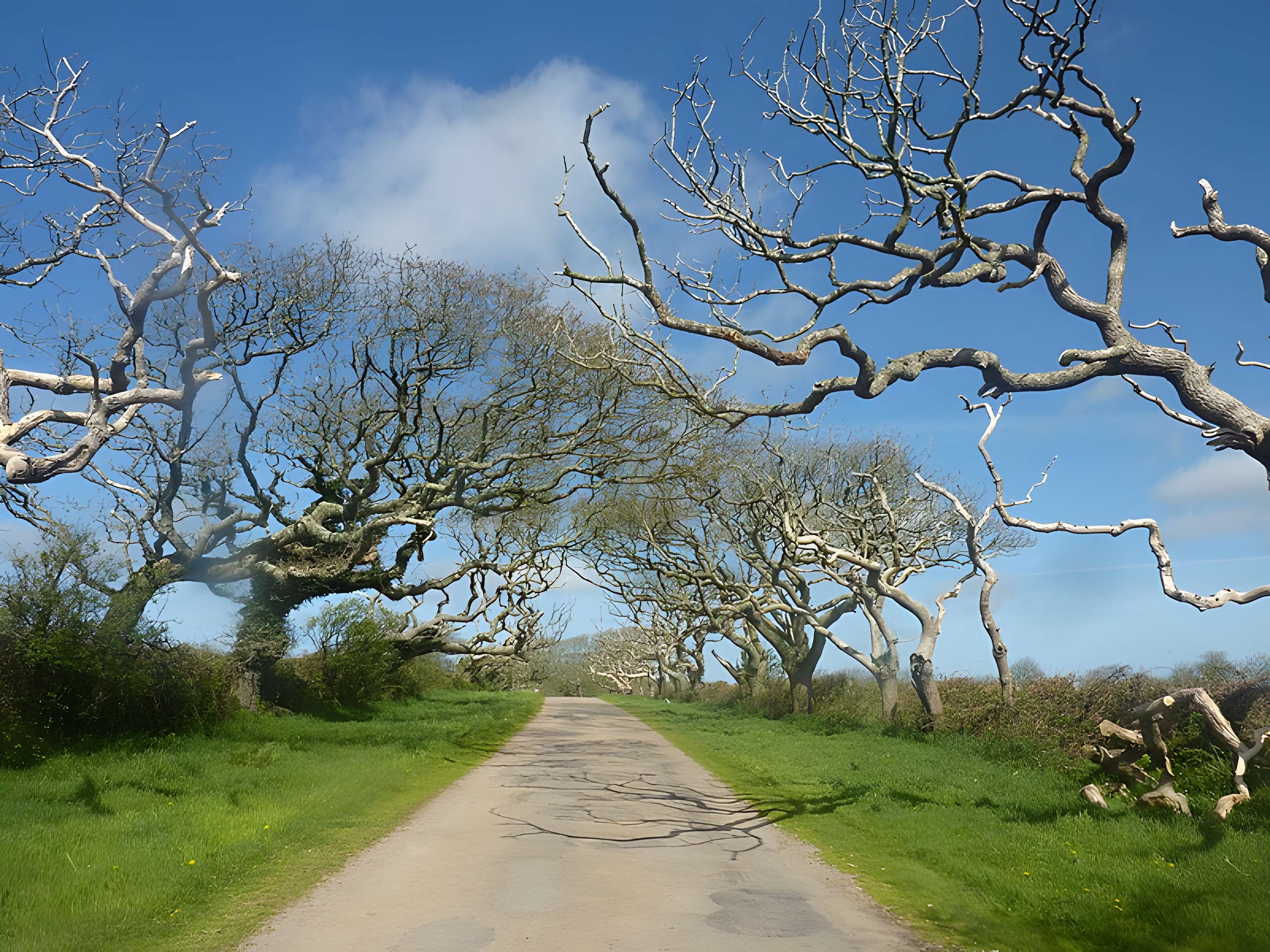 Château de Kergroadès