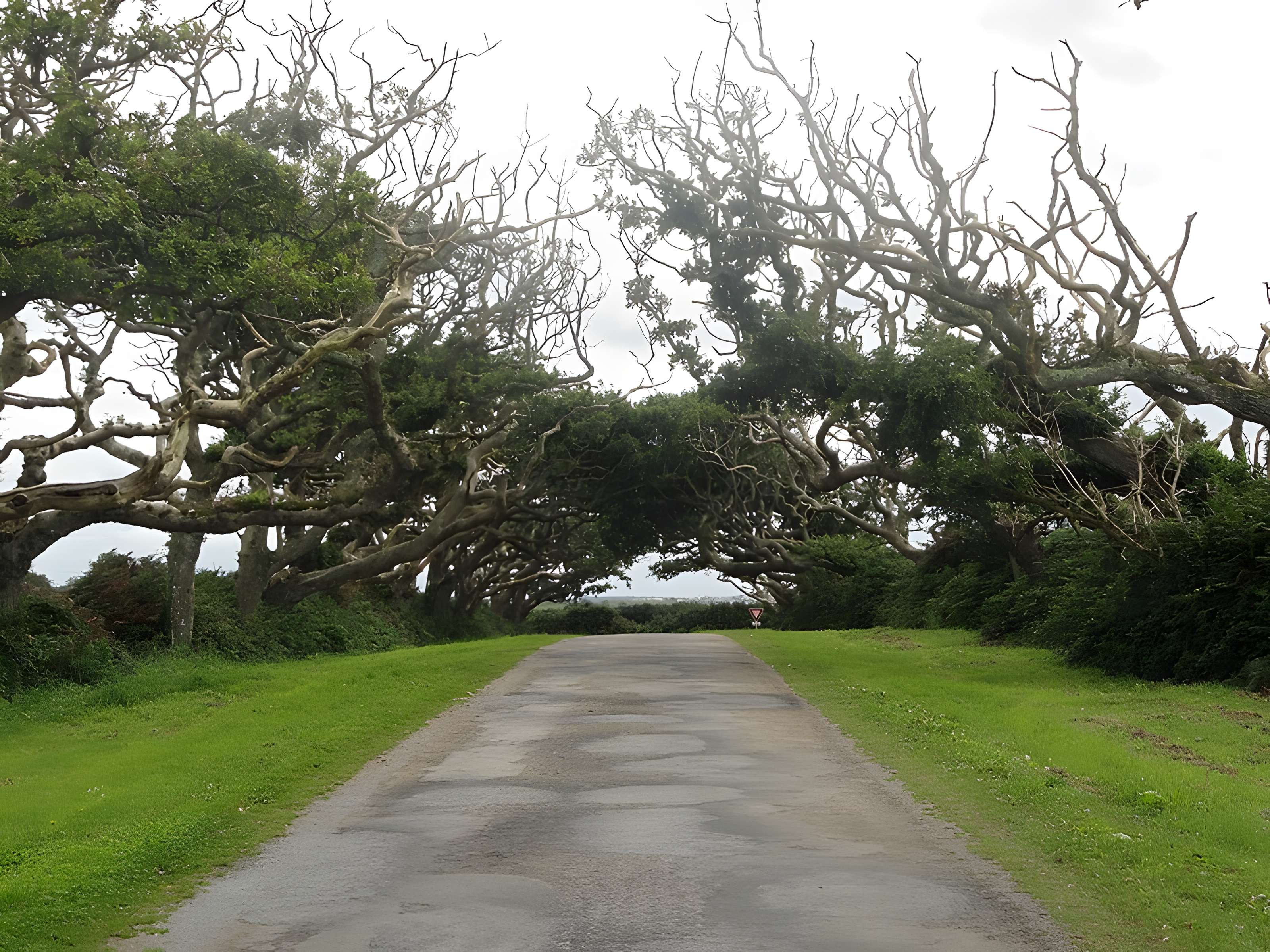 Château de Kergroadès