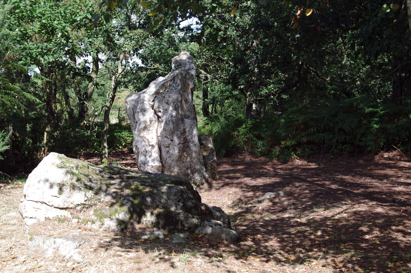 Photo de Site mégalithique de la Lande du Gras à Meslin