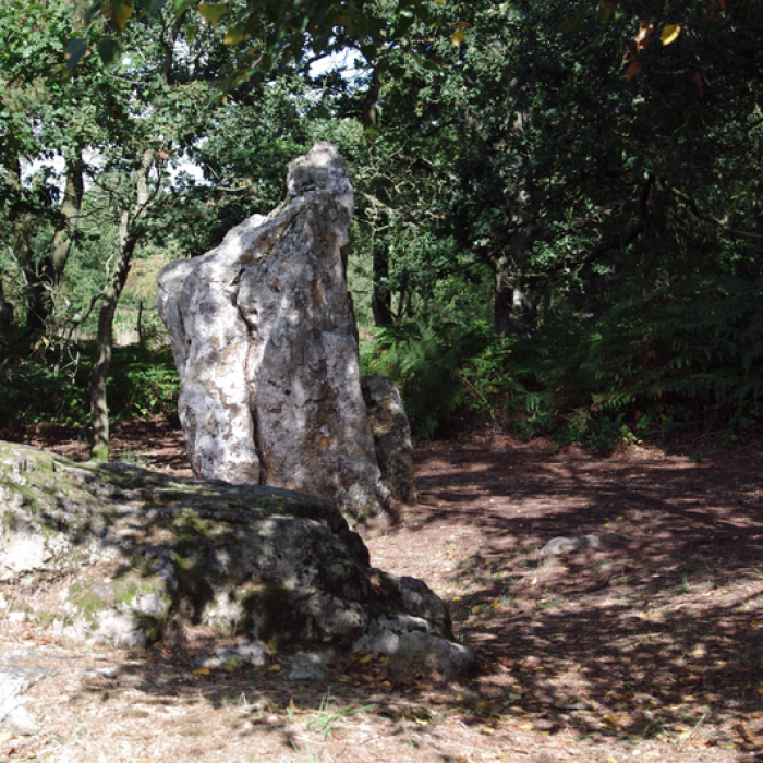 Photo de Site mégalithique de la Lande du Gras à Meslin