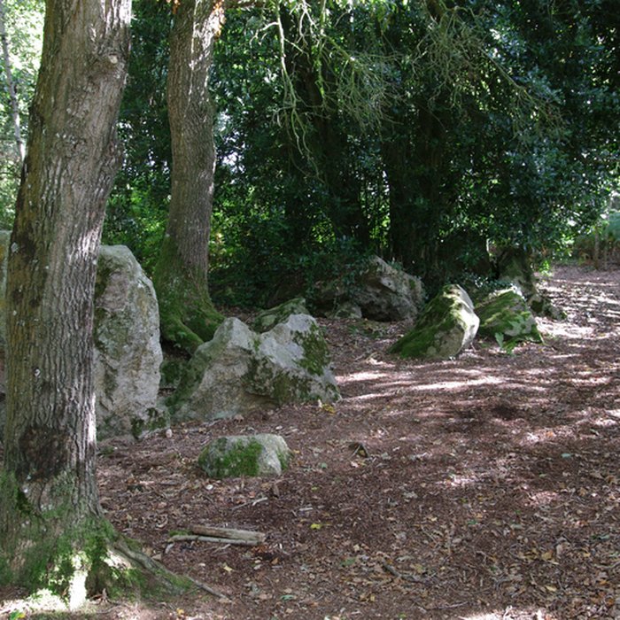 Photo de Site mégalithique de la Lande du Gras à Meslin