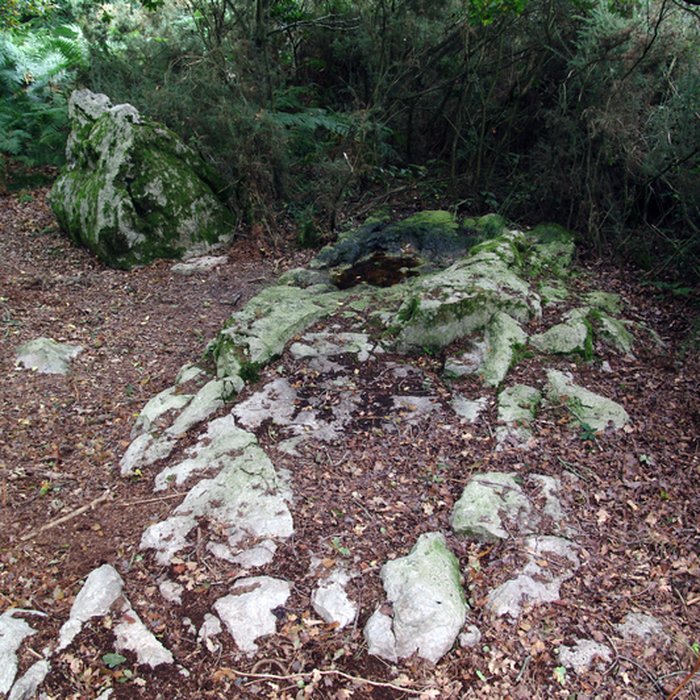 Photo de Site mégalithique de la Lande du Gras à Meslin