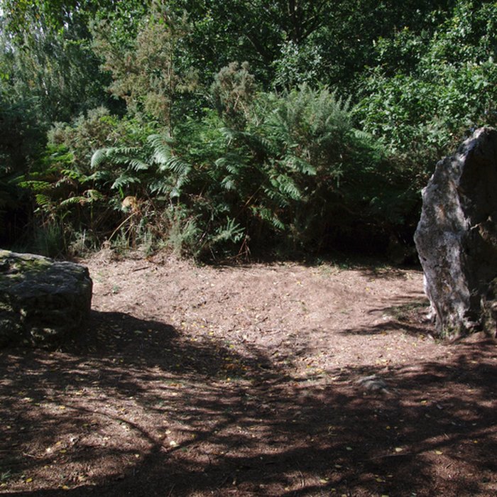 Photo de Site mégalithique de la Lande du Gras à Meslin