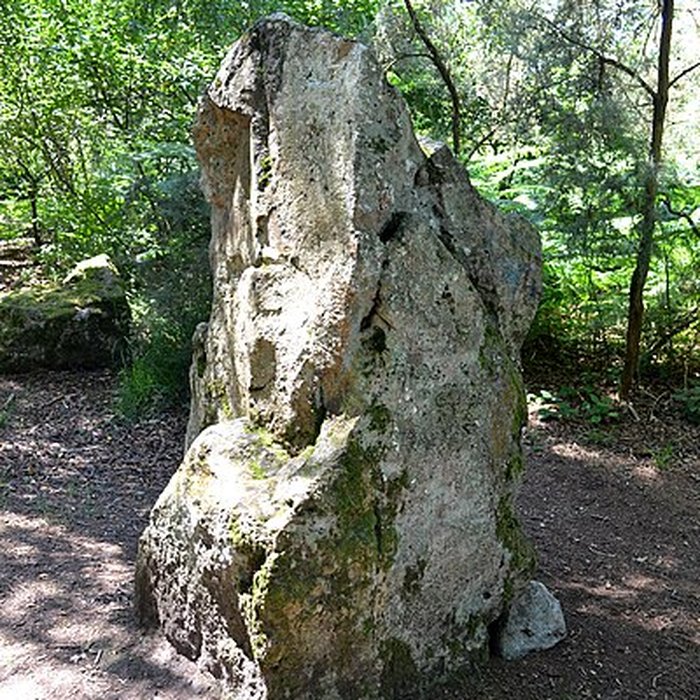 Photo de Site mégalithique de la Lande du Gras à Meslin