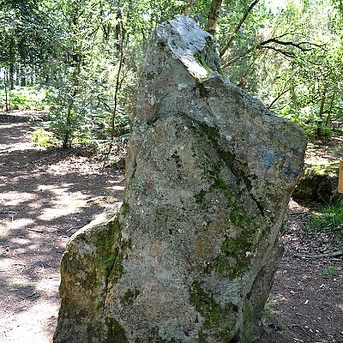 Photo de Site mégalithique de la Lande du Gras à Meslin