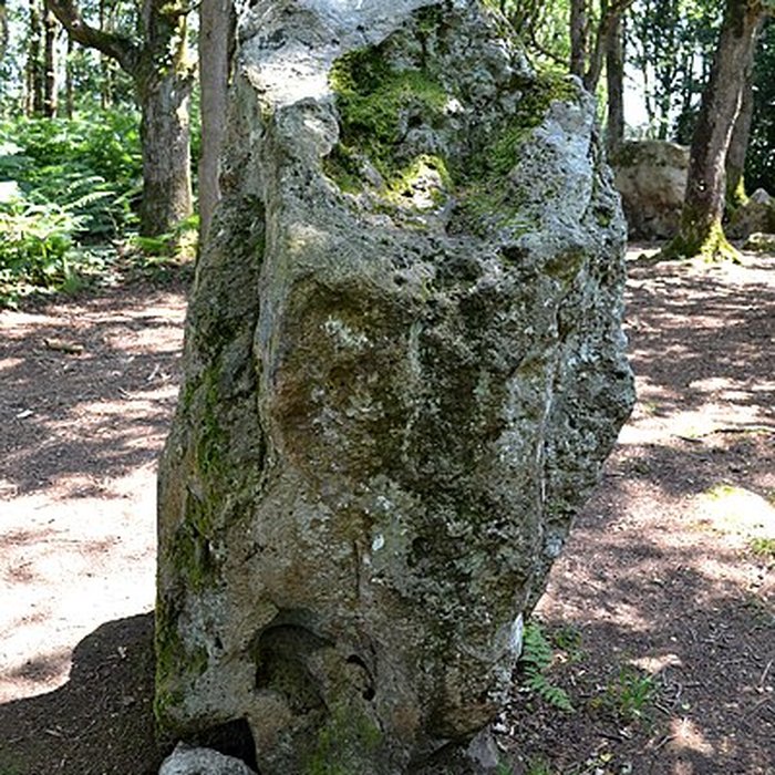 Photo de Site mégalithique de la Lande du Gras à Meslin