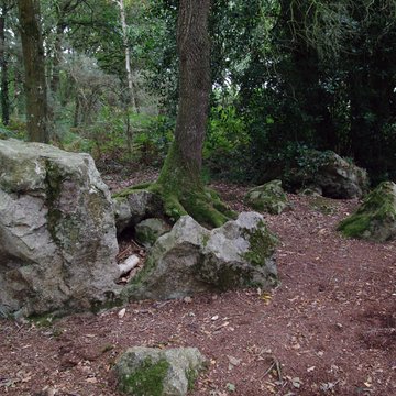 Site mégalithique de la Lande du Gras à Meslin