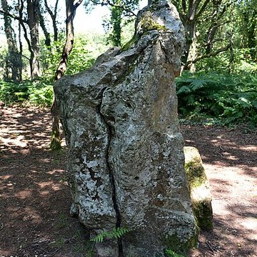 Site mégalithique de la Lande du Gras à Meslin