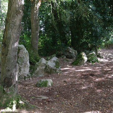 Site mégalithique de la Lande du Gras à Meslin