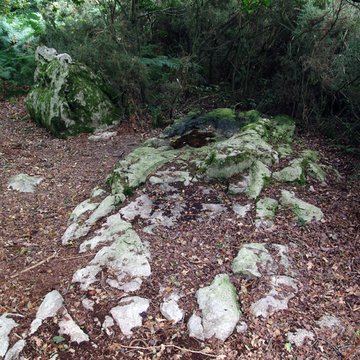 Site mégalithique de la Lande du Gras à Meslin
